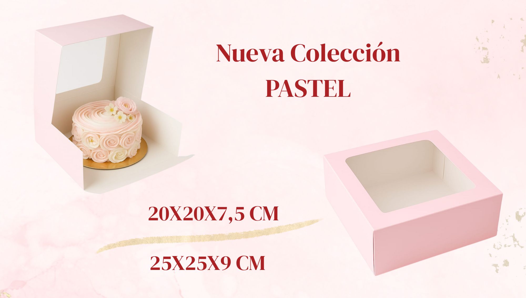 Nueva Coleccin